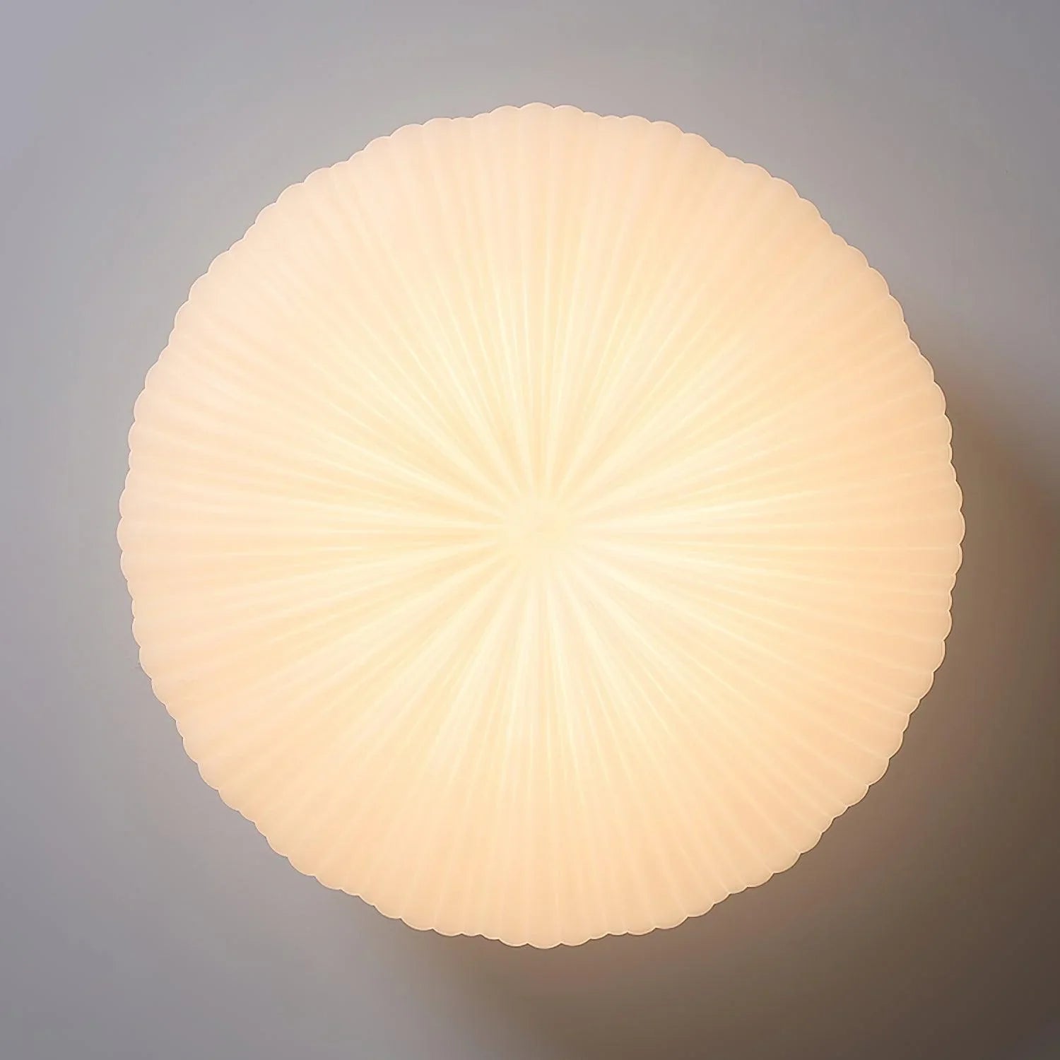 Tranquil Dome Flush Mount Ceiling Light | Organic Shape, LED Fixture 4
