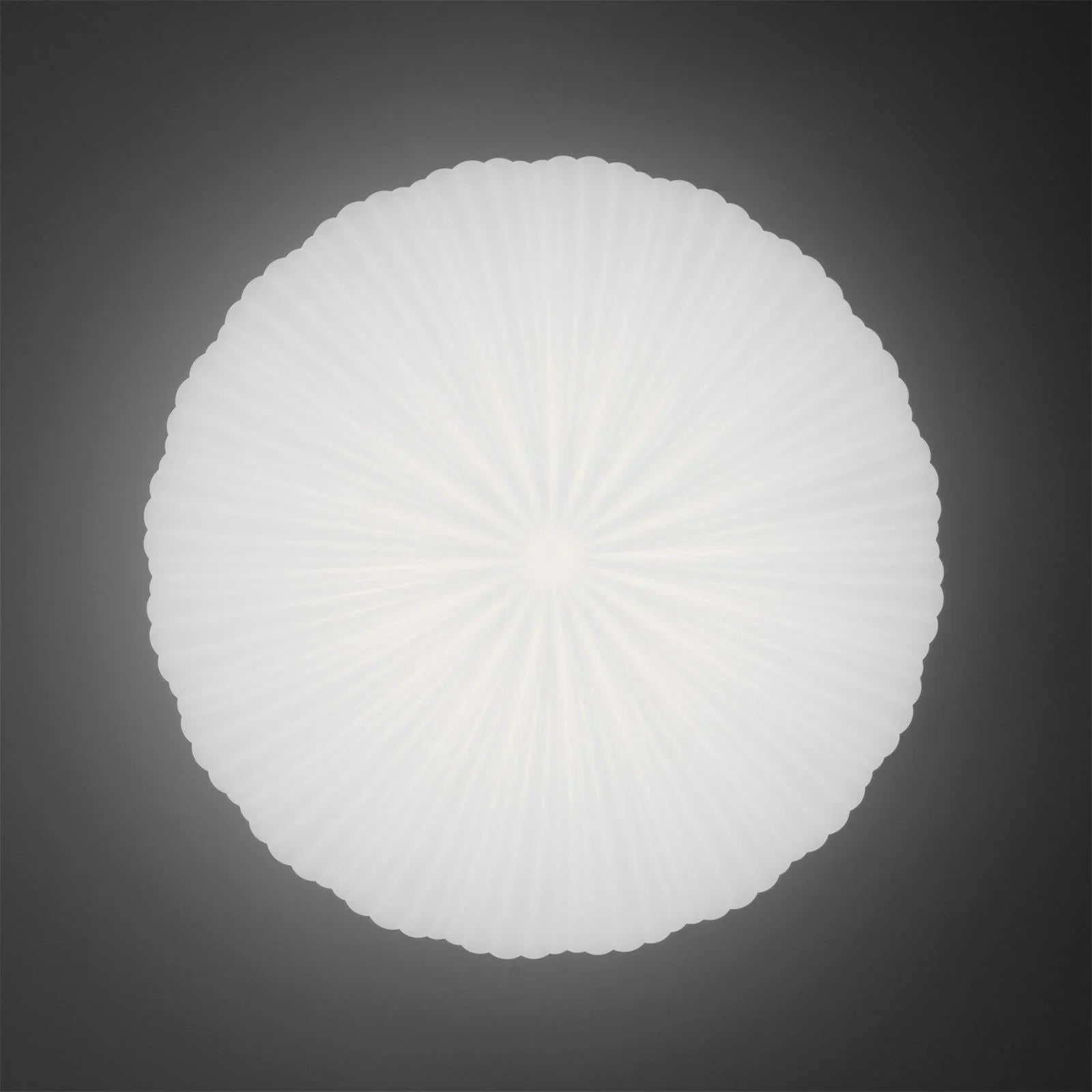 Tranquil Dome Flush Mount Ceiling Light | Organic Shape, LED Fixture 7